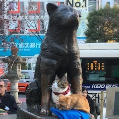 渋谷を語ろう 2021